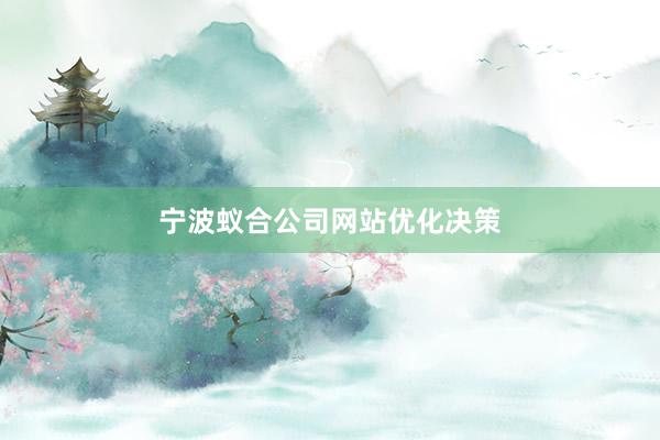 宁波蚁合公司网站优化决策