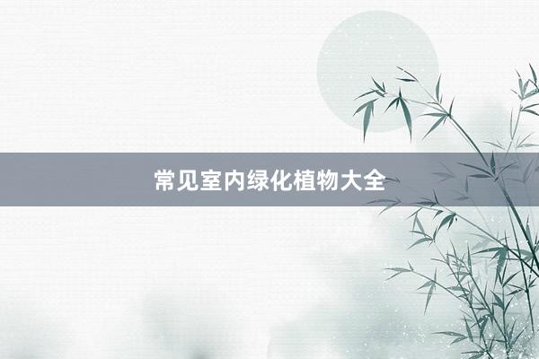 常见室内绿化植物大全